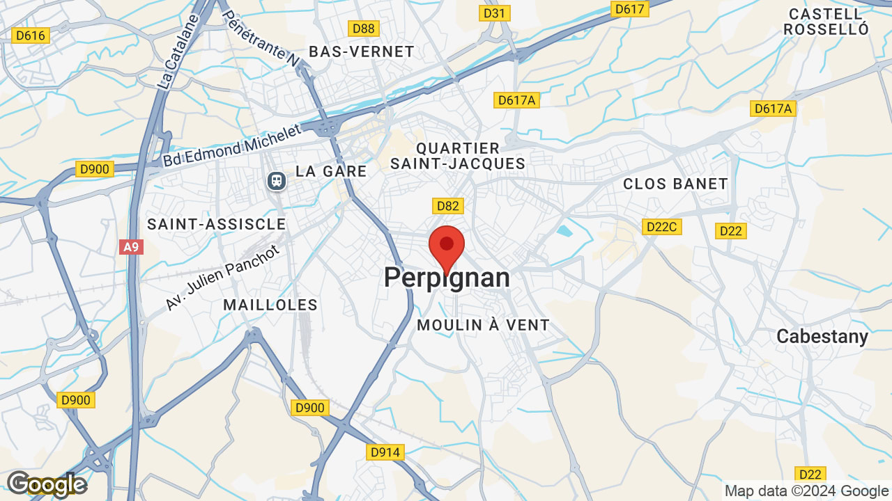 Google map