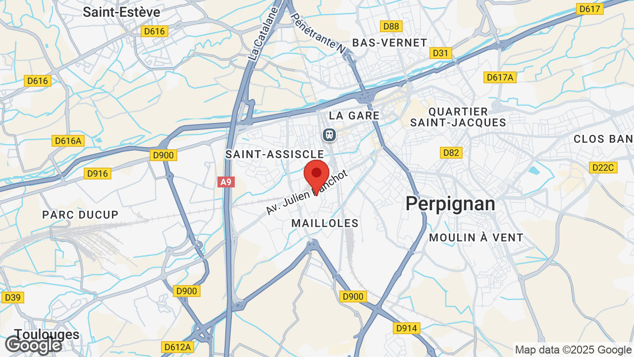 Google map