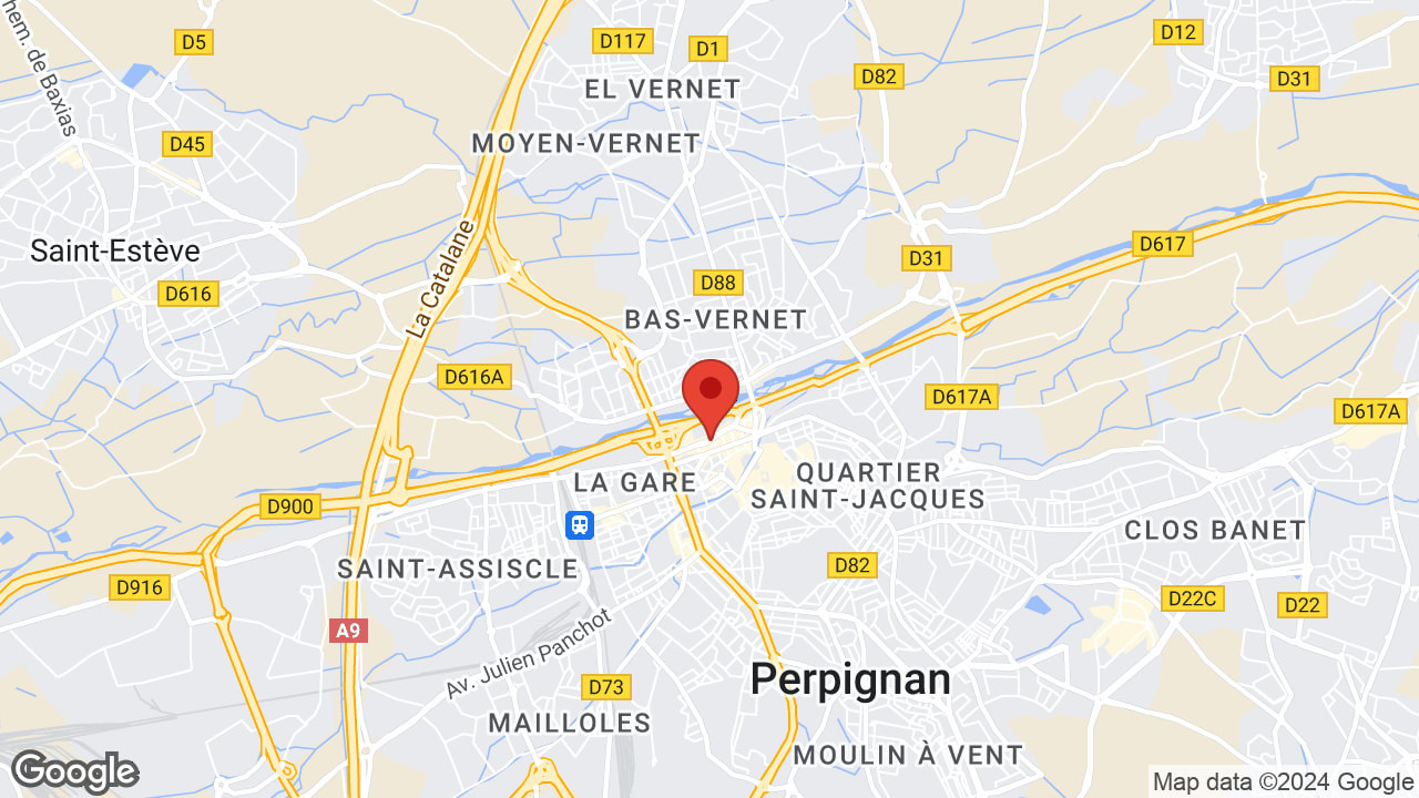 Google map