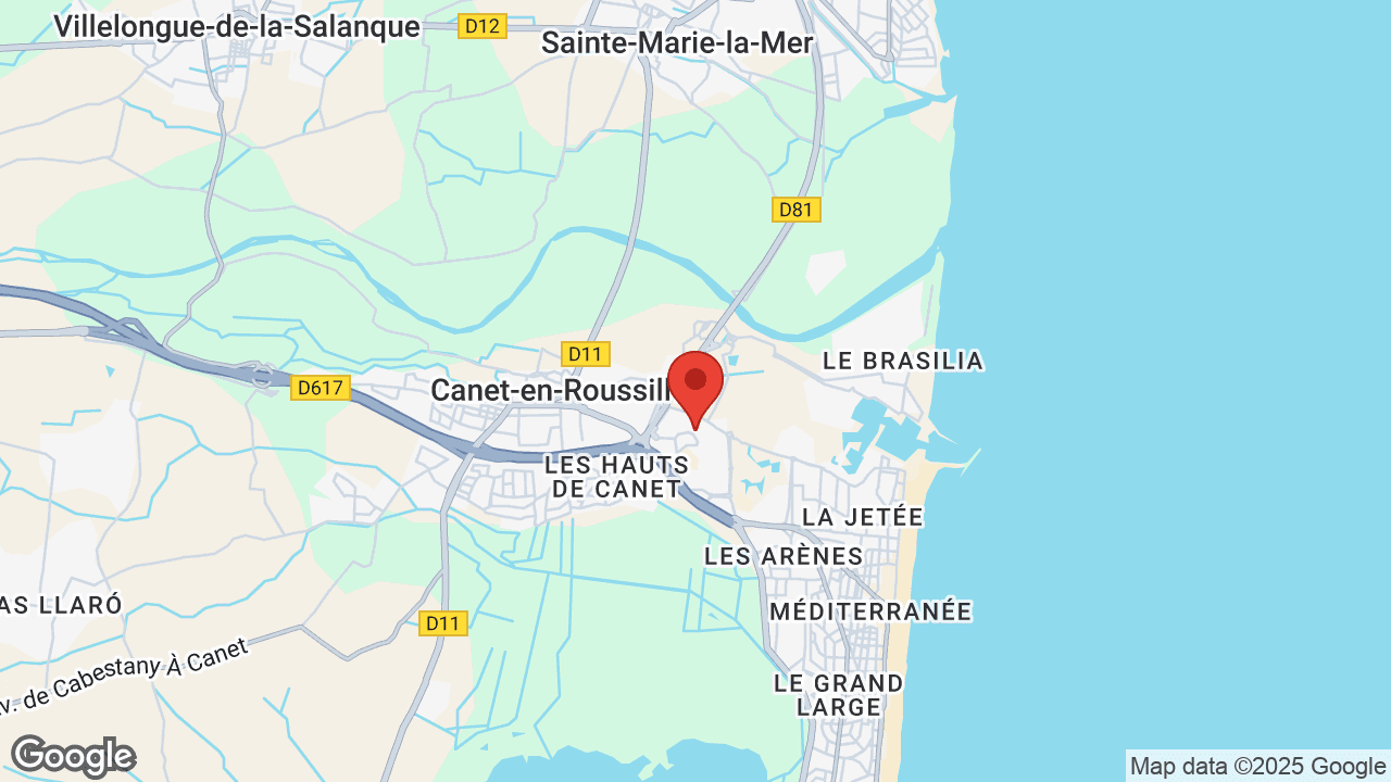 Google map