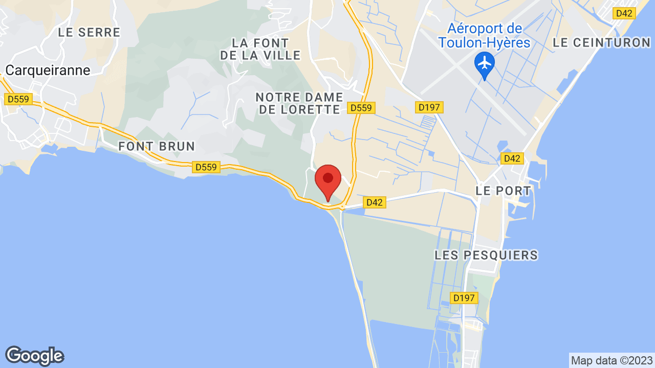 Google map