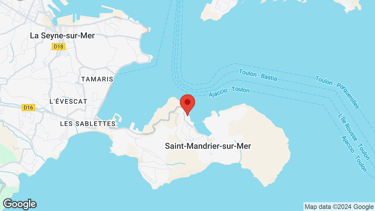 Google map