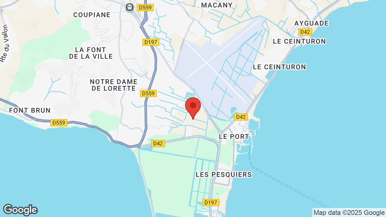 Google map