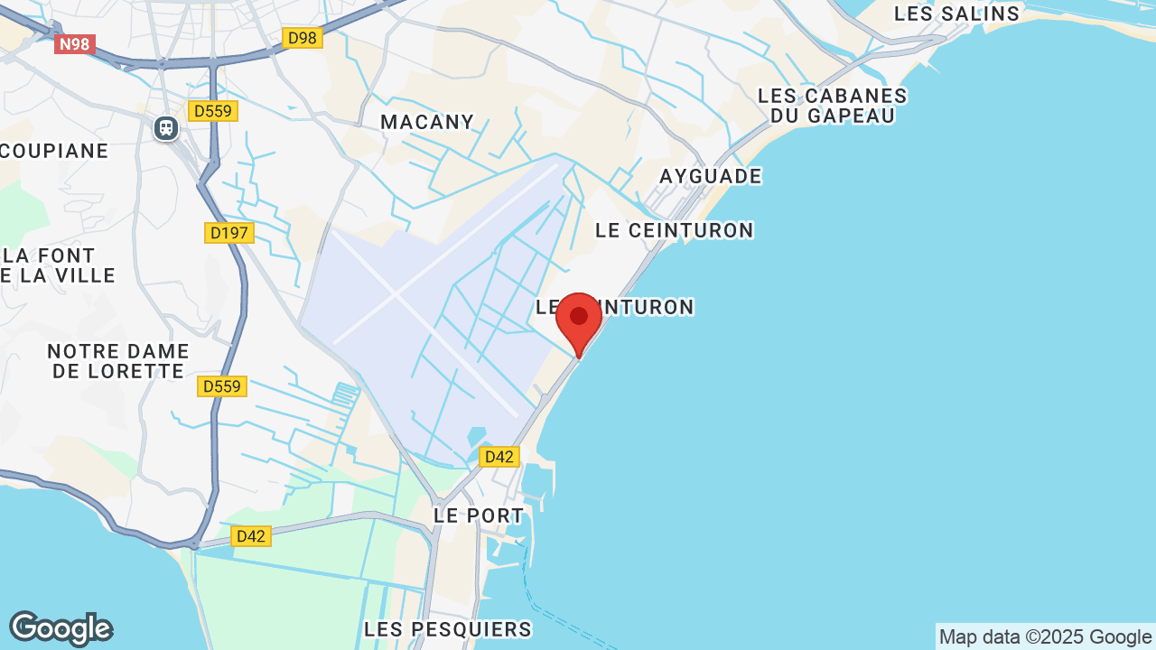 Google map