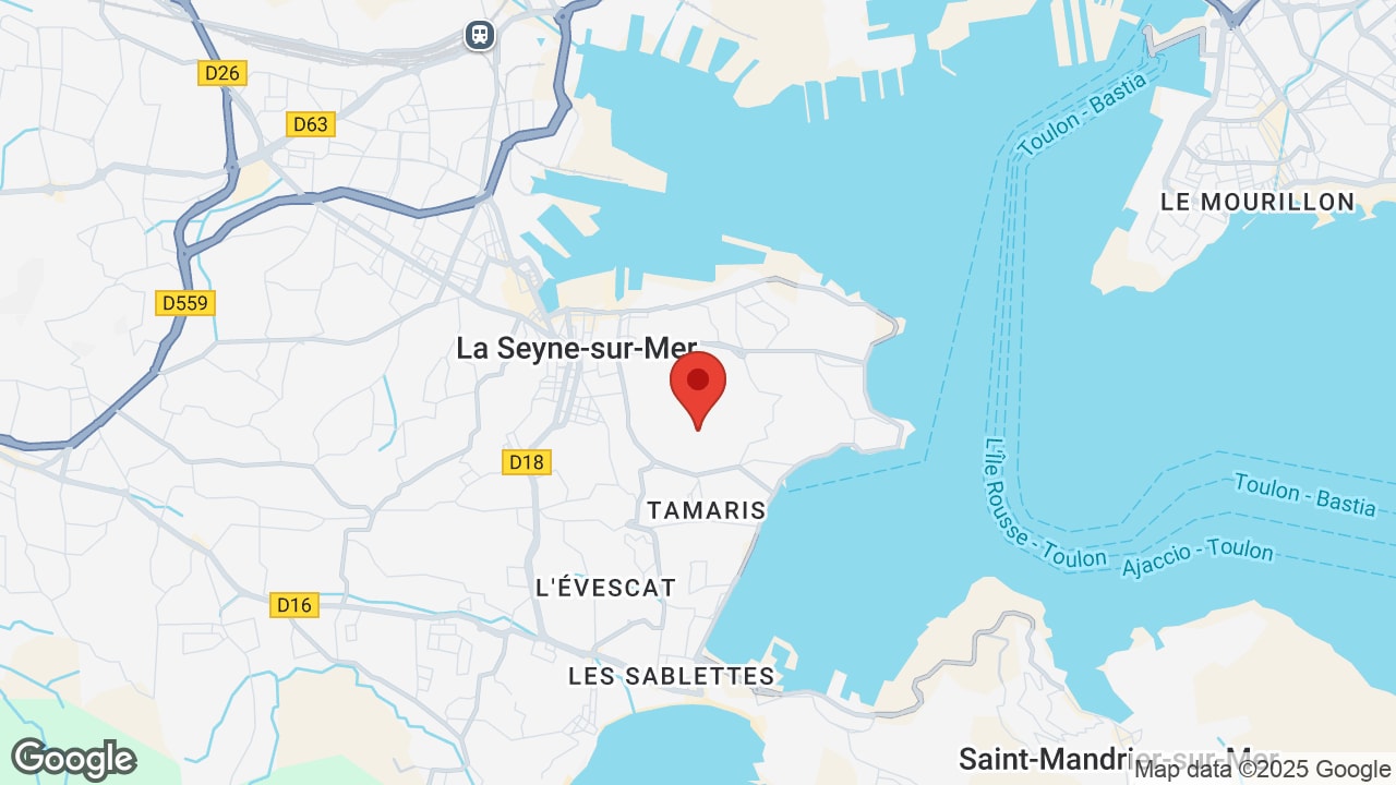 Google map