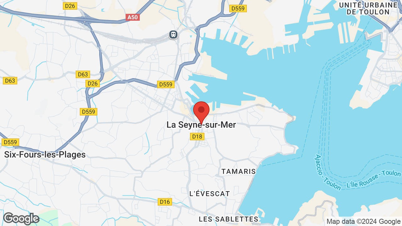 Google map