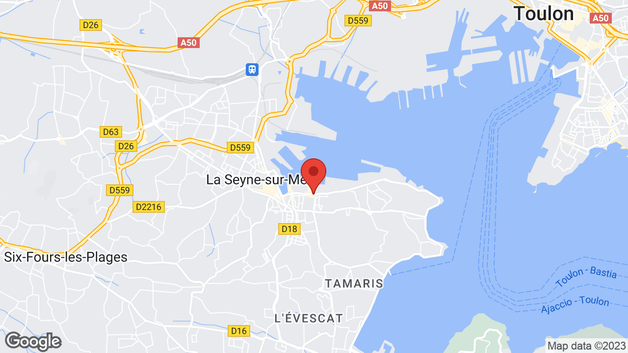 Google map