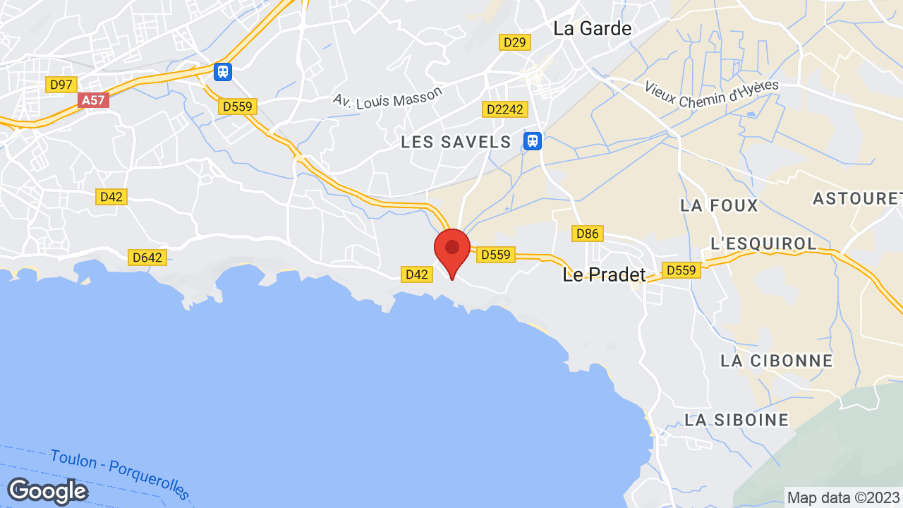 Google map
