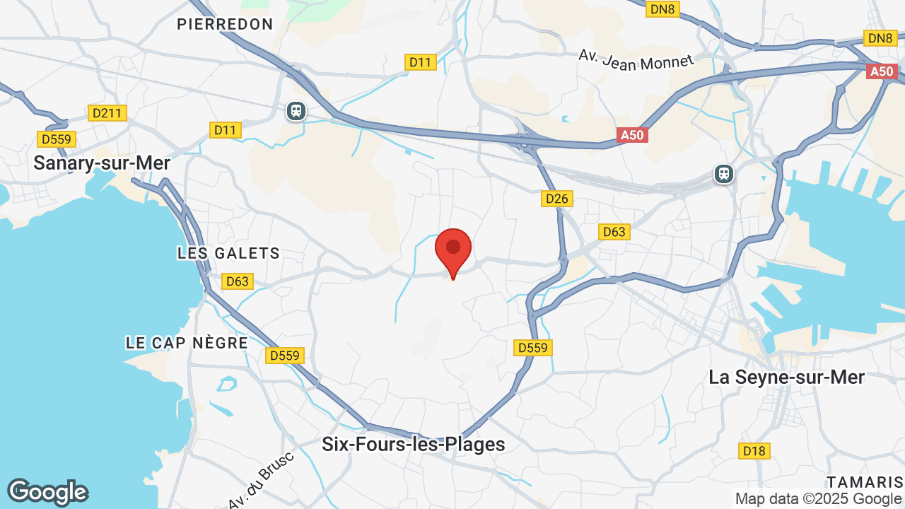 Google map