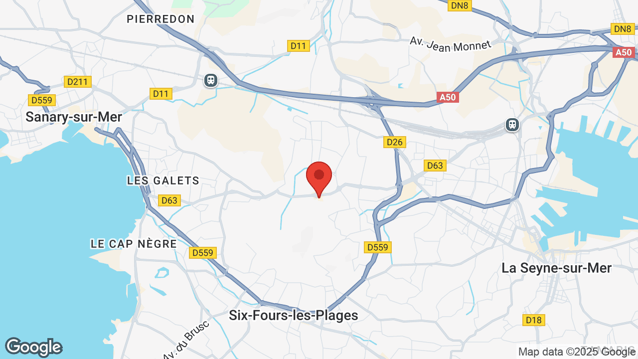 Google map