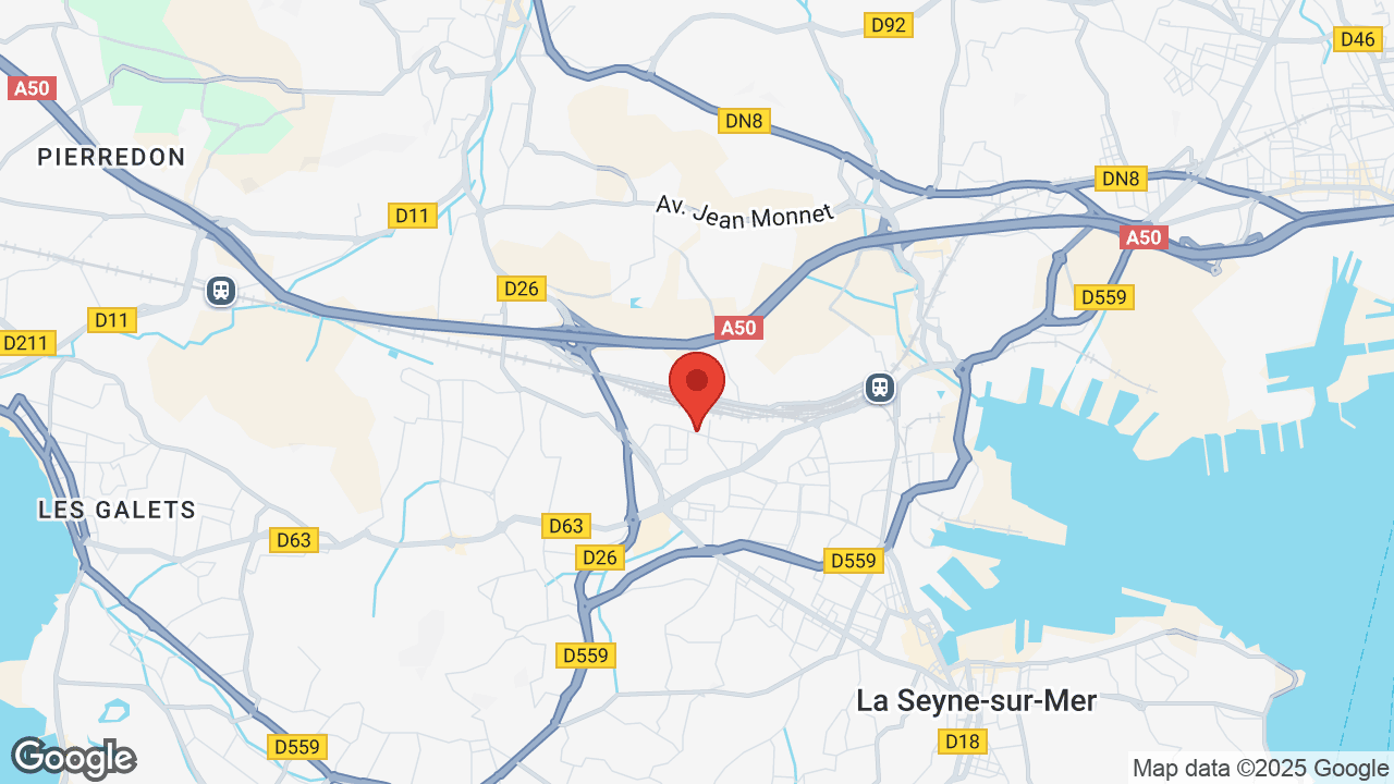 Google map