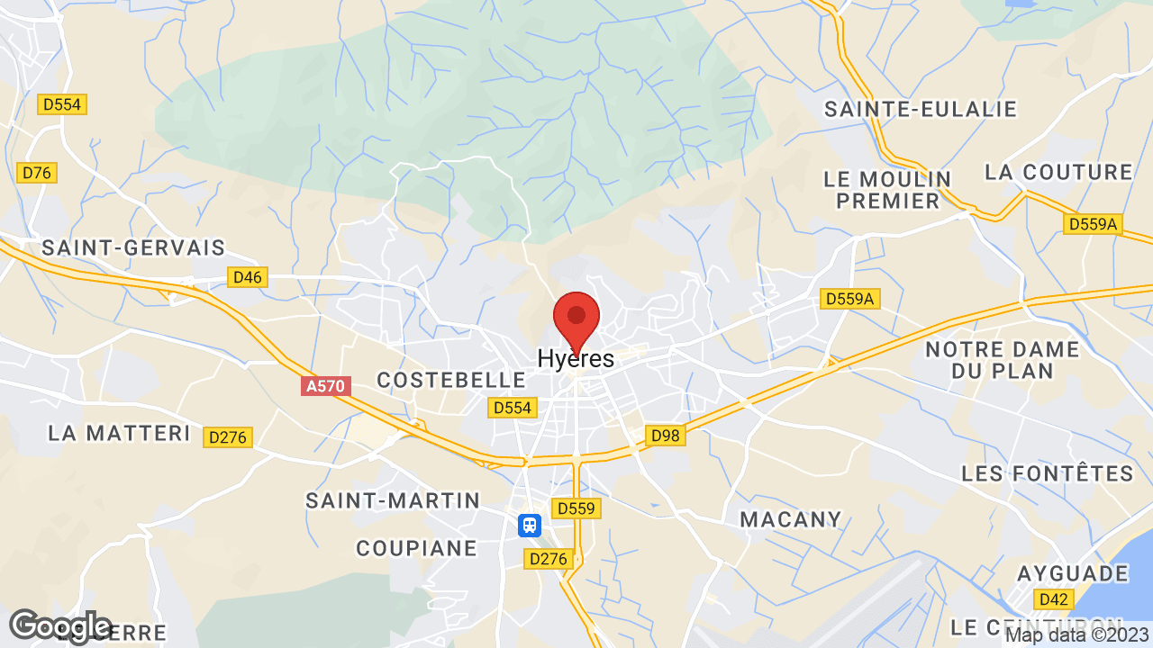 Google map