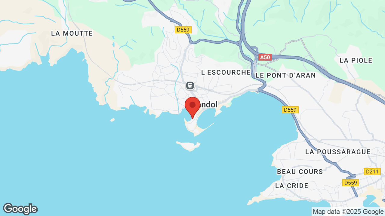 Google map