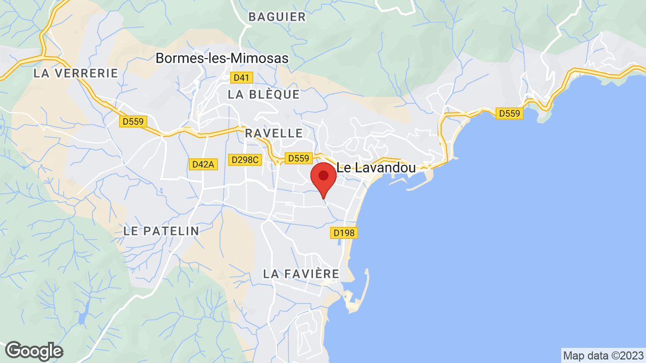 Google map