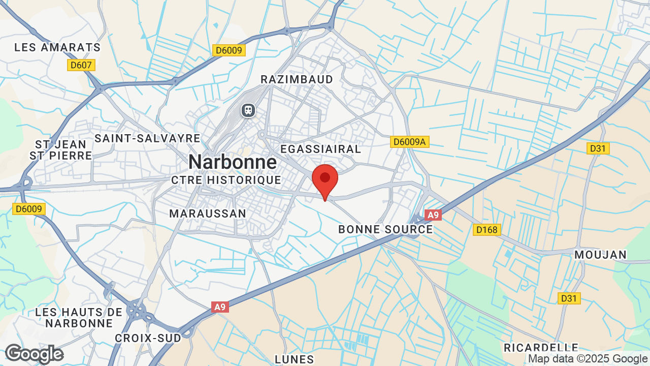 Google map