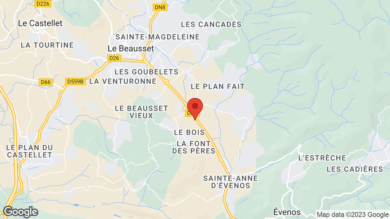 Google map