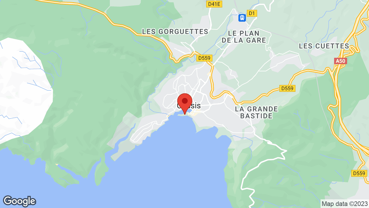 Google map