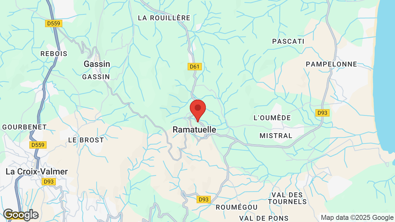 Google map