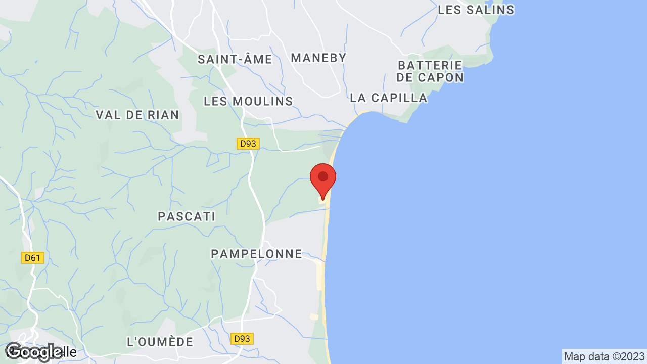 Google map
