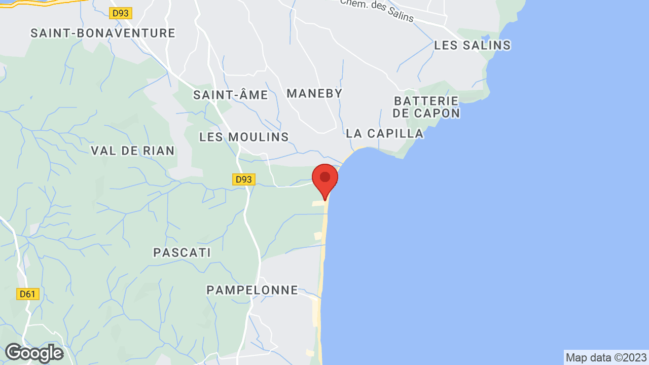 Google map