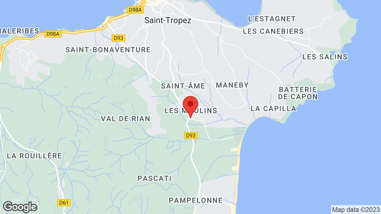 Google map