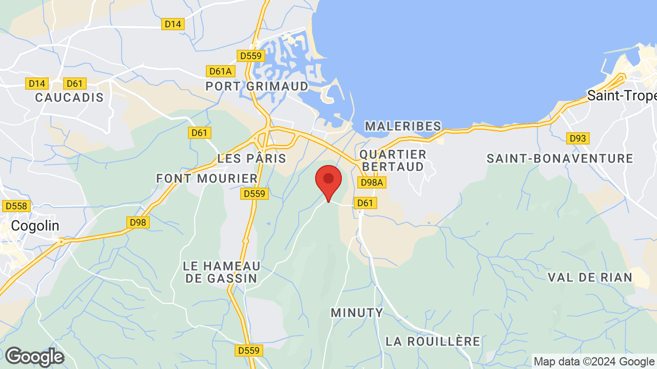 Google map