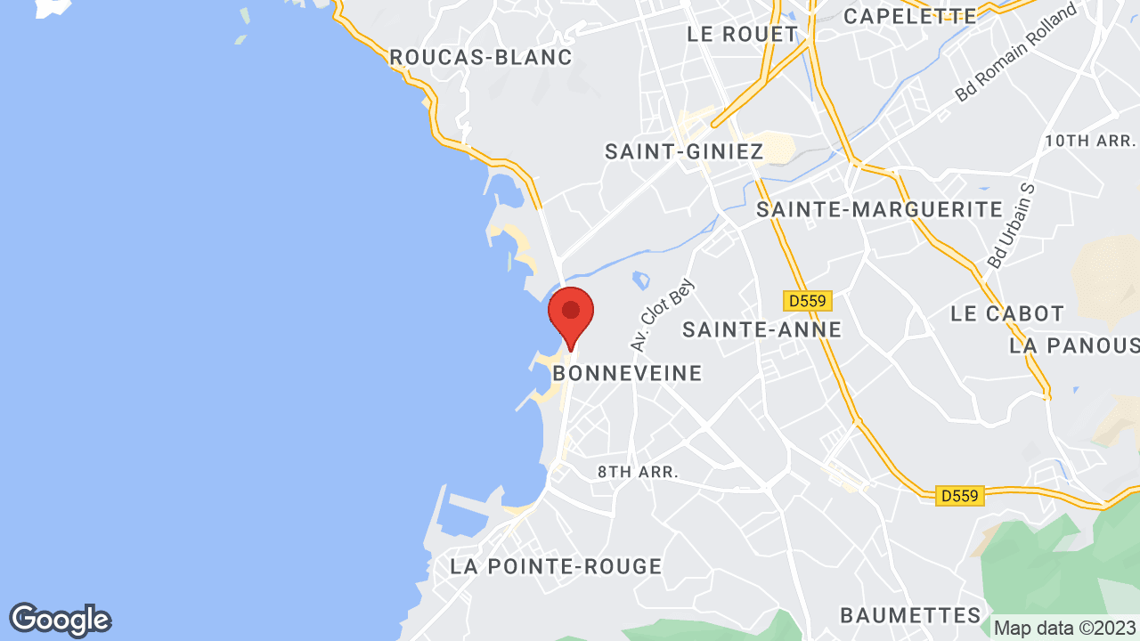 Google map