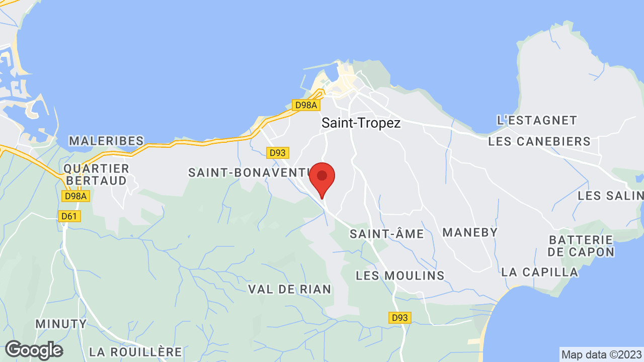 Google map