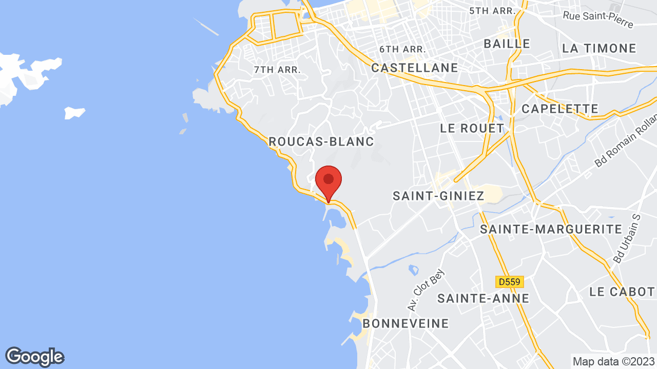 Google map
