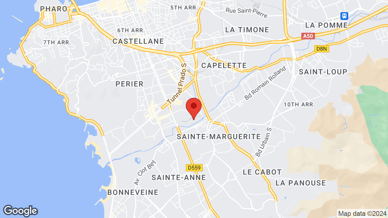 Google map