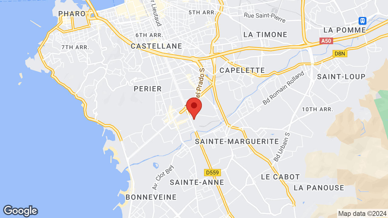 Google map