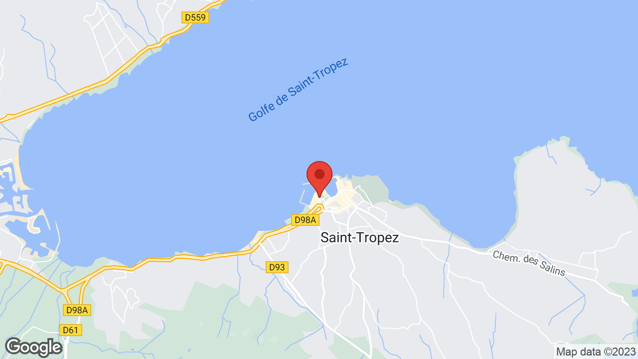 Google map