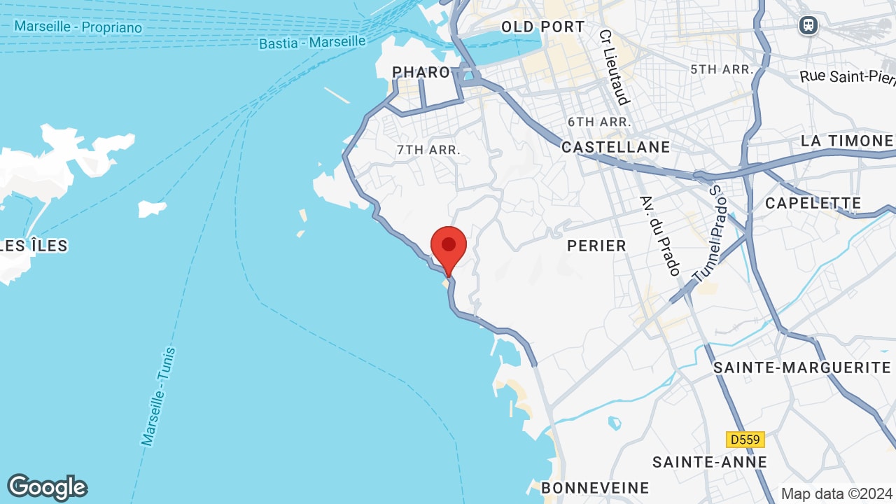 Google map