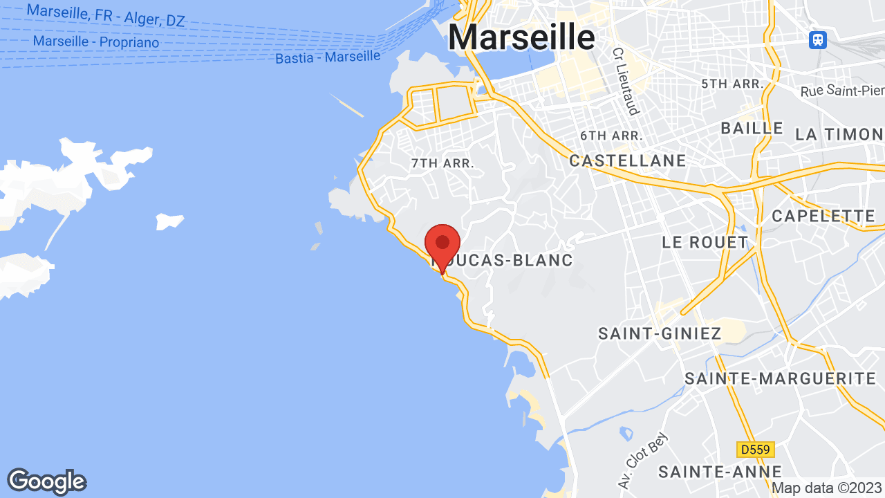 Google map