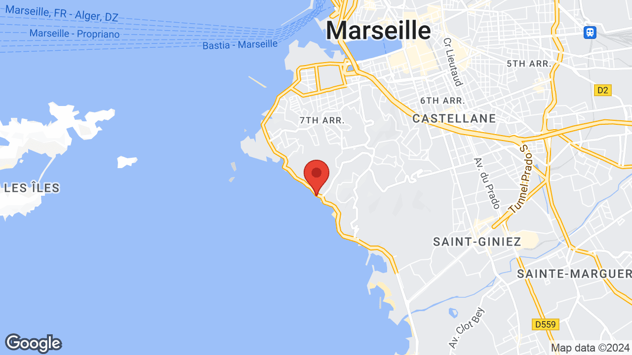 Google map