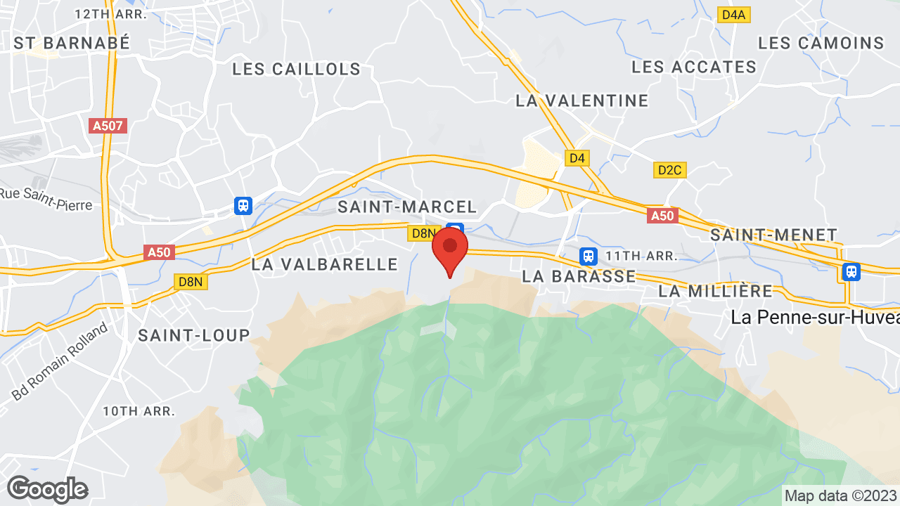 Google map
