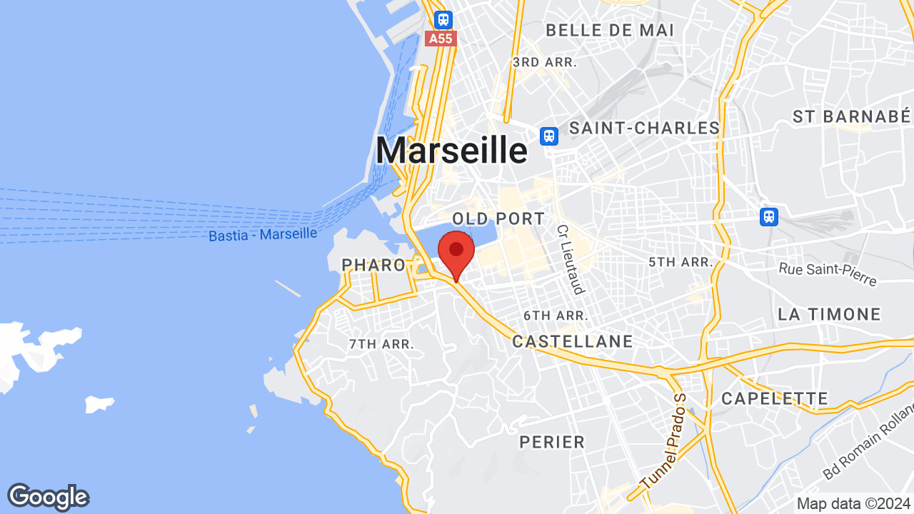 Google map