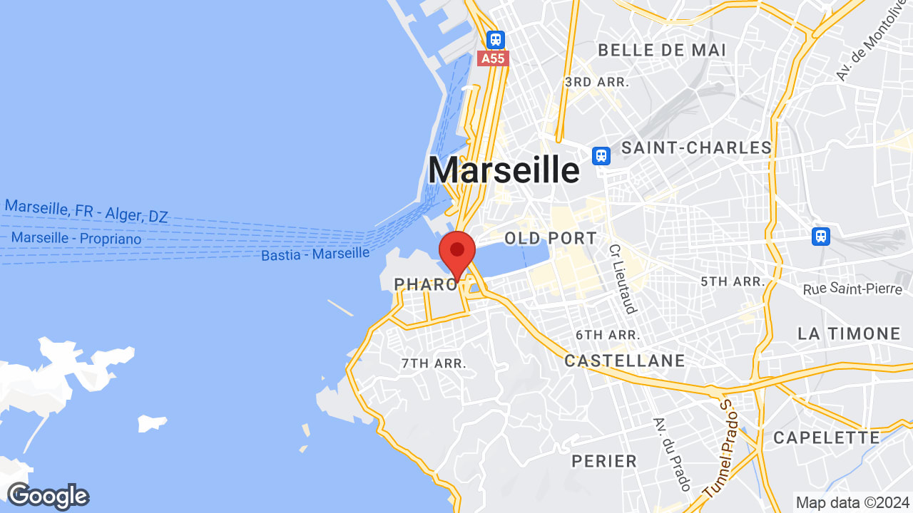 Google map