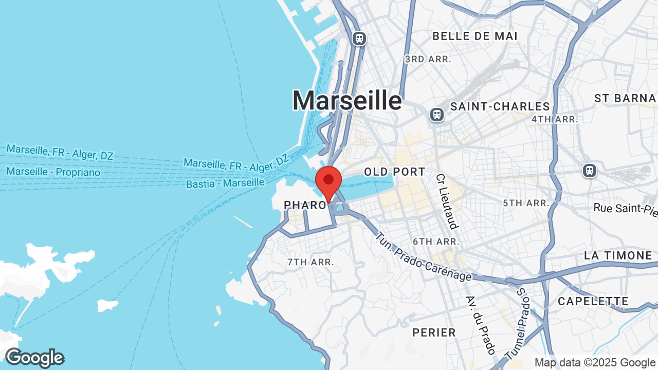 Google map