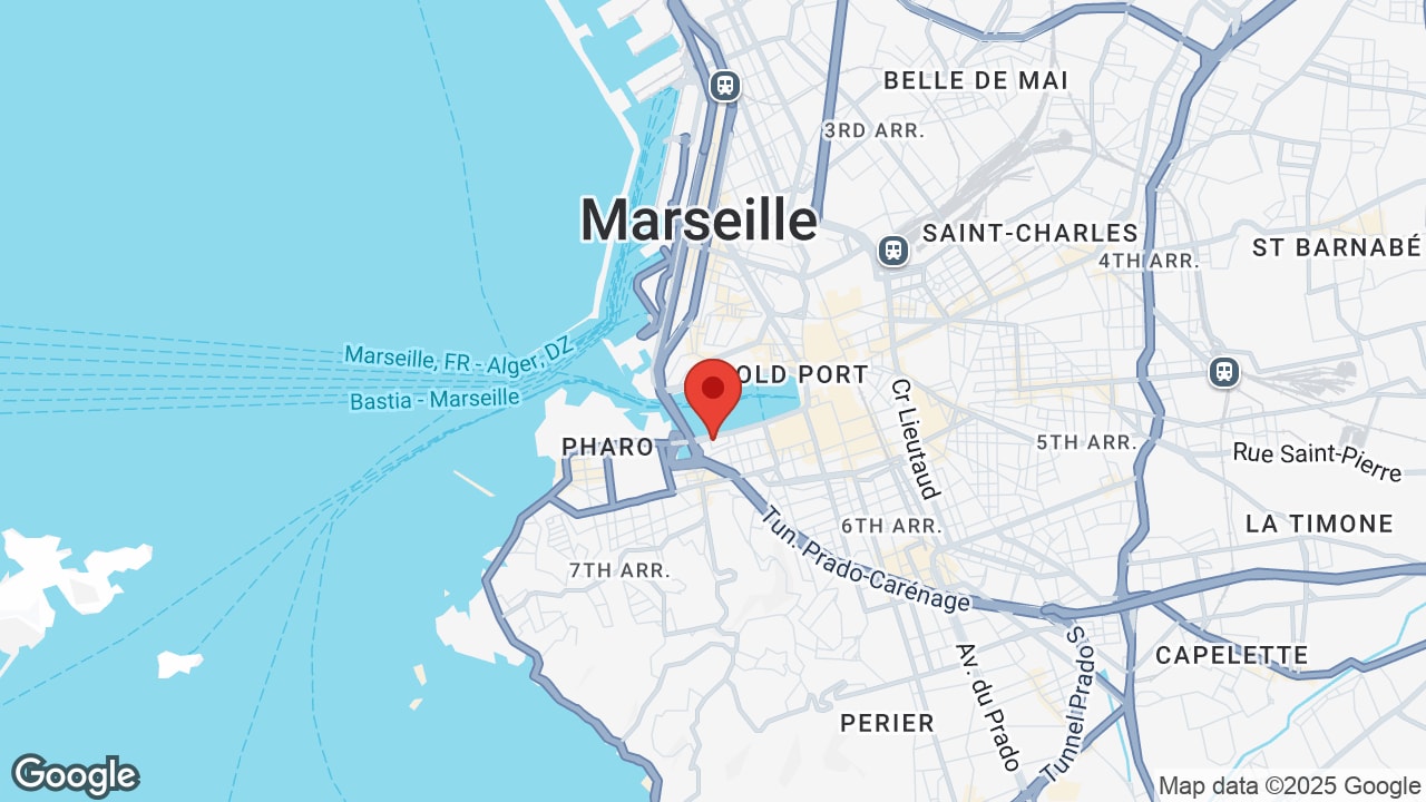 Google map