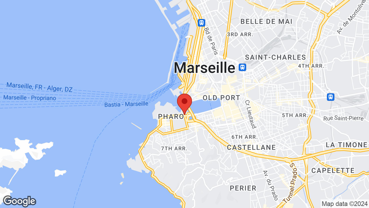 Google map