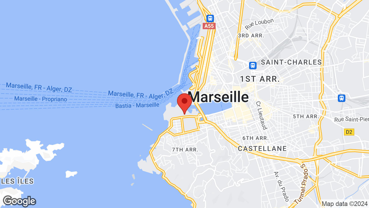Google map