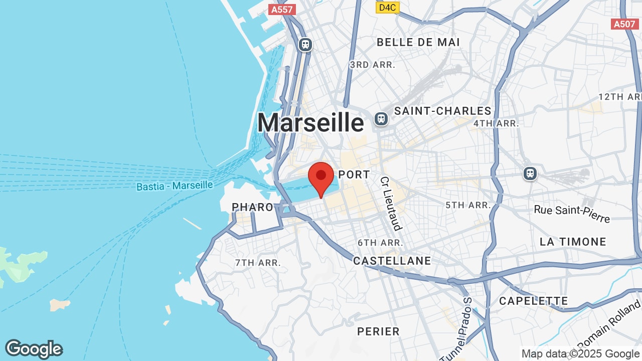 Google map