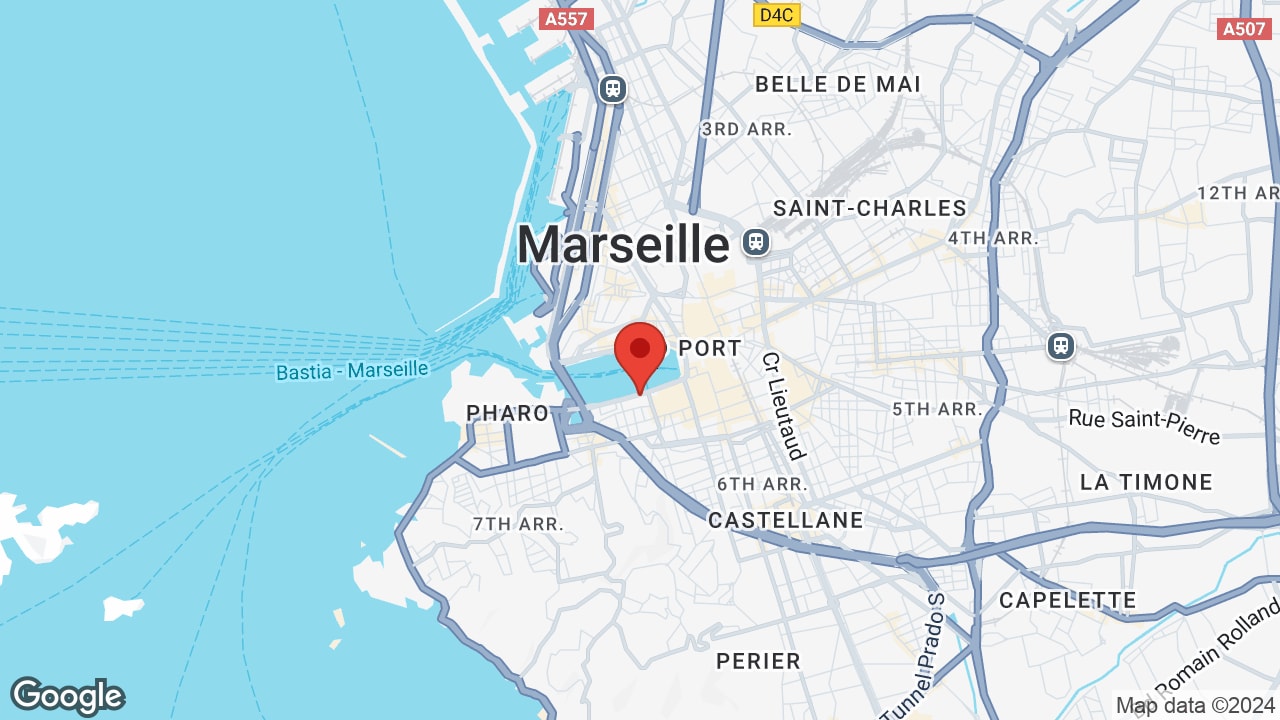 Google map