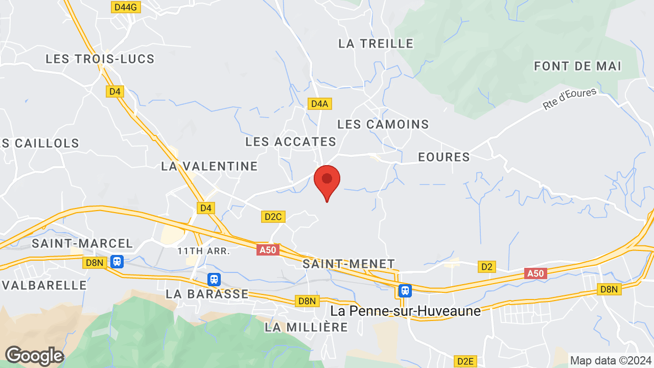 Google map