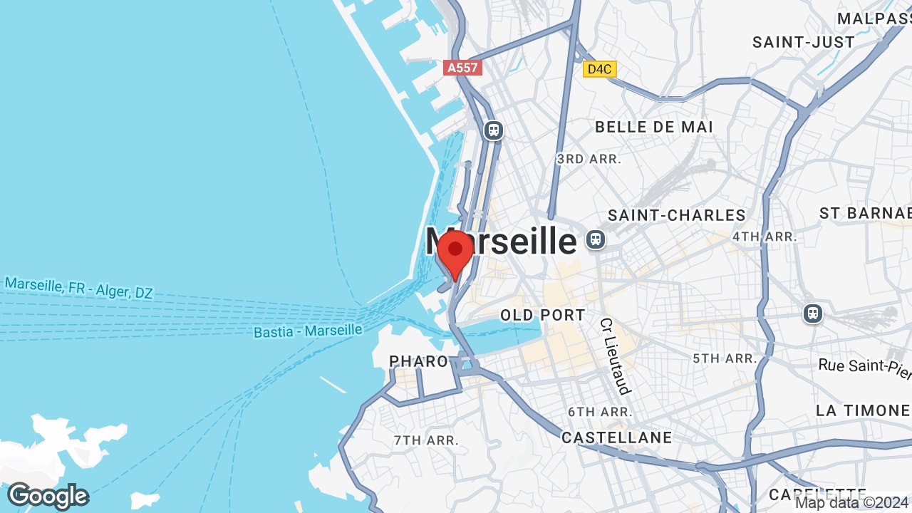 Google map