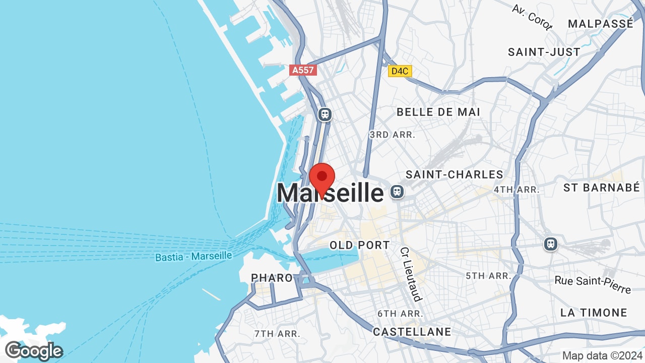 Google map