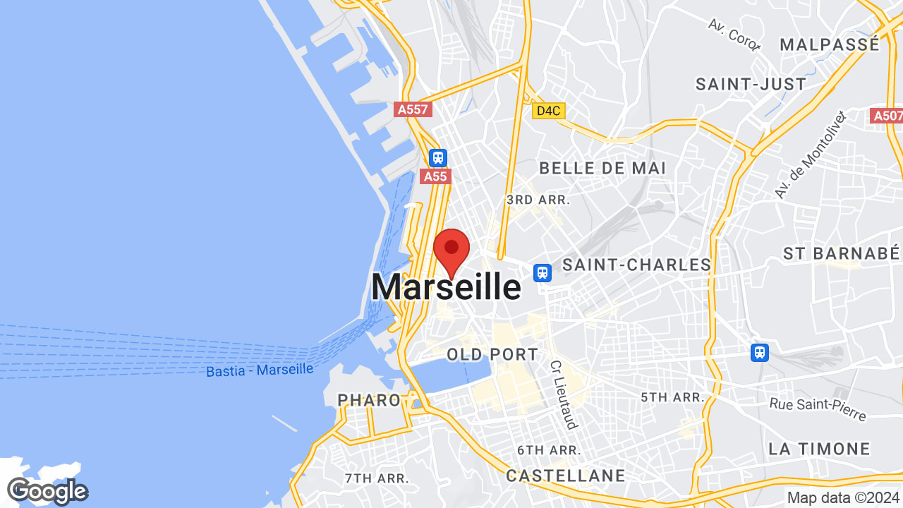 Google map