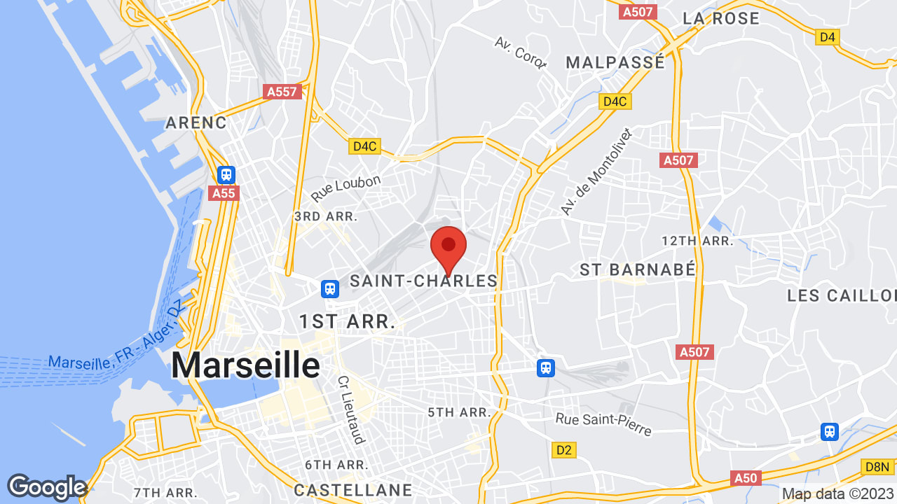 Google map