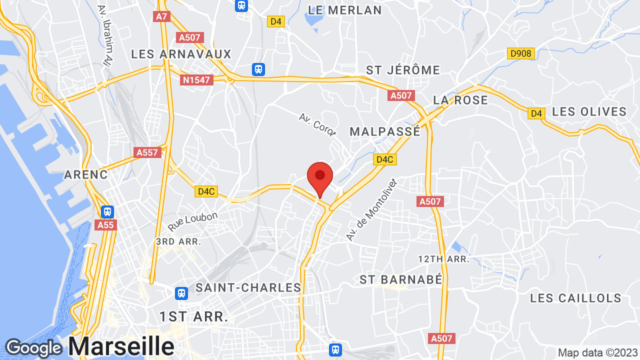 Google map